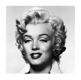 Monroe Portrait