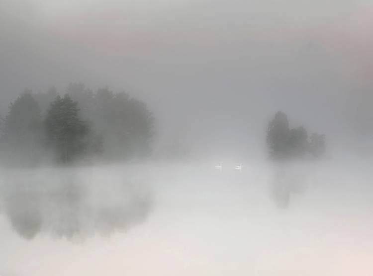 Misty morning from Bjorn Emanuelson
