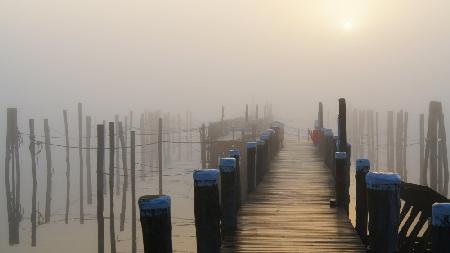 Golden fog at the lonely pier