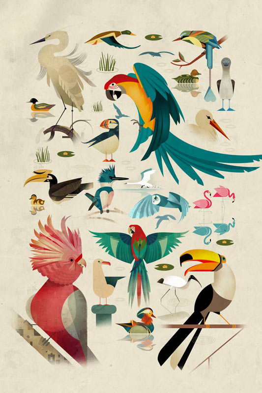 Birds from Dieter Braun