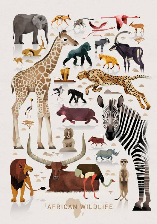 African Wildlife from Dieter Braun