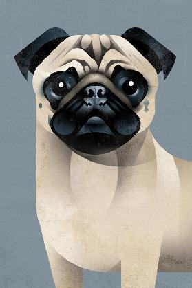 Pug