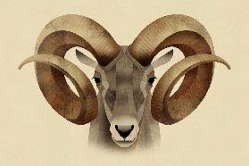 Urial