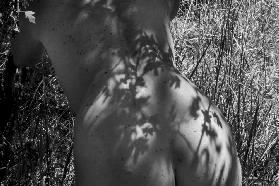 Female back-nude with shadow play