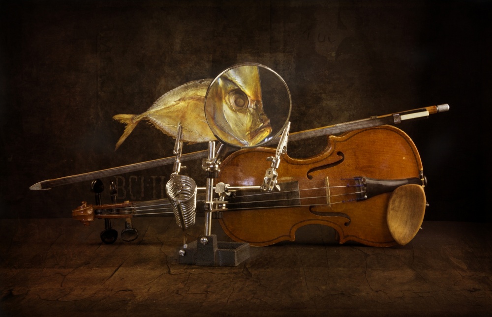 Fish and violin from Brig Barkow