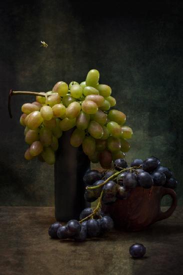 Still life with grapes and a bee