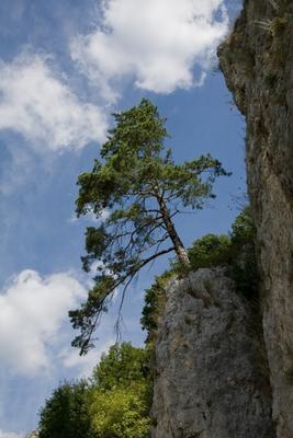 Überlebenskünstler from Brigitte Götz