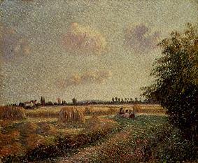 Grain harvest from Camille Pissarro