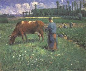 Girl with cow on a pasture