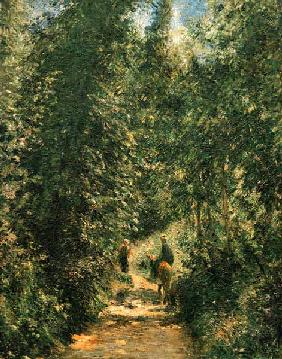 C.Pissarro, Weg unter Bäumen, Sommer