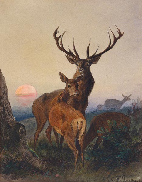 Ein Hirsch und ein Reh bei Sonnenuntergang from Carl Friedrich Deiker
