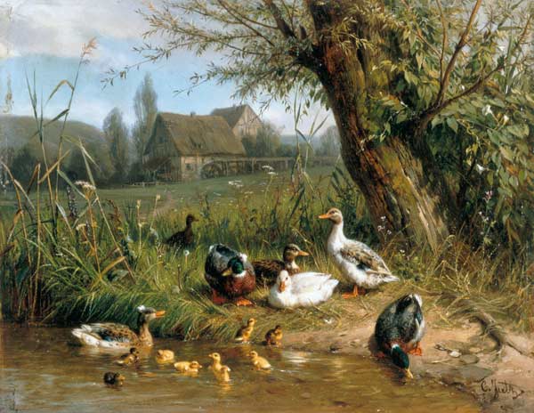 Ducks with chicks at the water from Carl Jutz