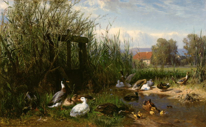 Ducks at the brook from Carl Jutz