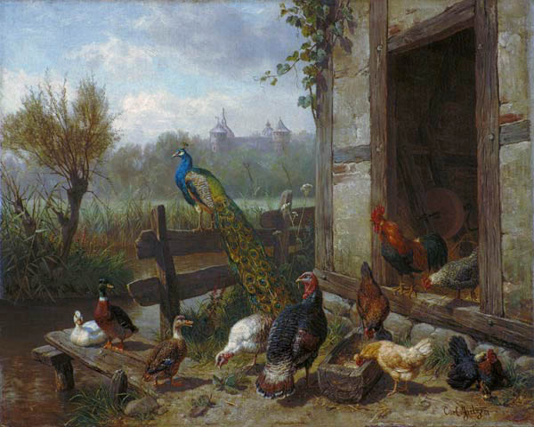 Poultry court from Carl Jutz