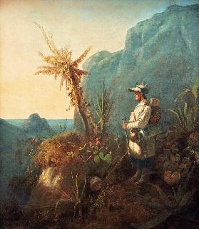 C.Spitzweg, Naturforscher in den Tropen