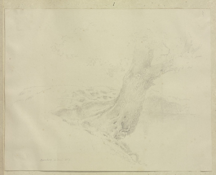 Alter Baum an einer Uferböschung from Carl Theodor Reiffenstein