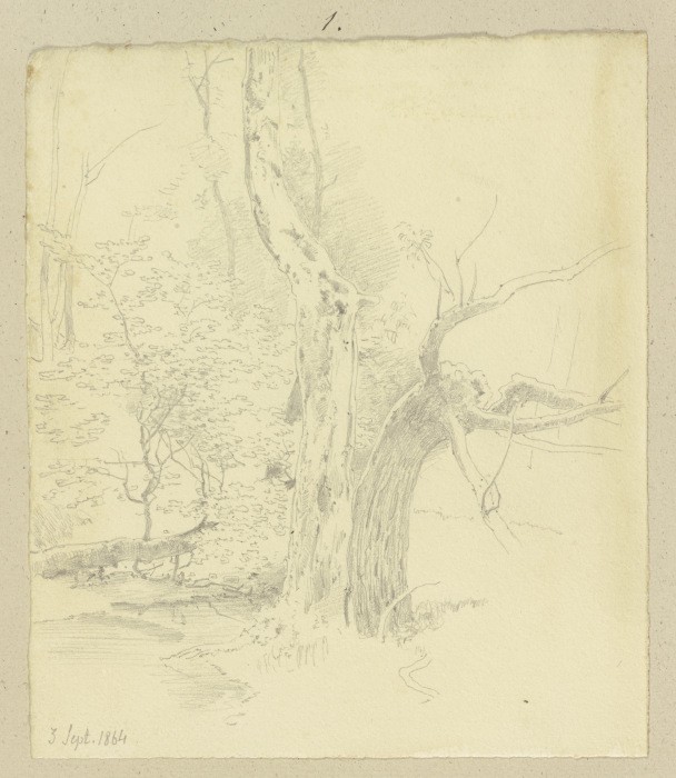 Trees at a stream from Carl Theodor Reiffenstein