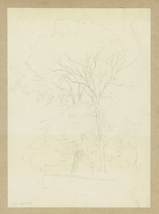 Bäume hinter einer niedrigen Mauer from Carl Theodor Reiffenstein
