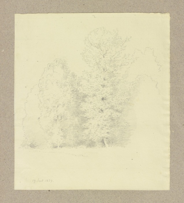 Group of trees from Carl Theodor Reiffenstein