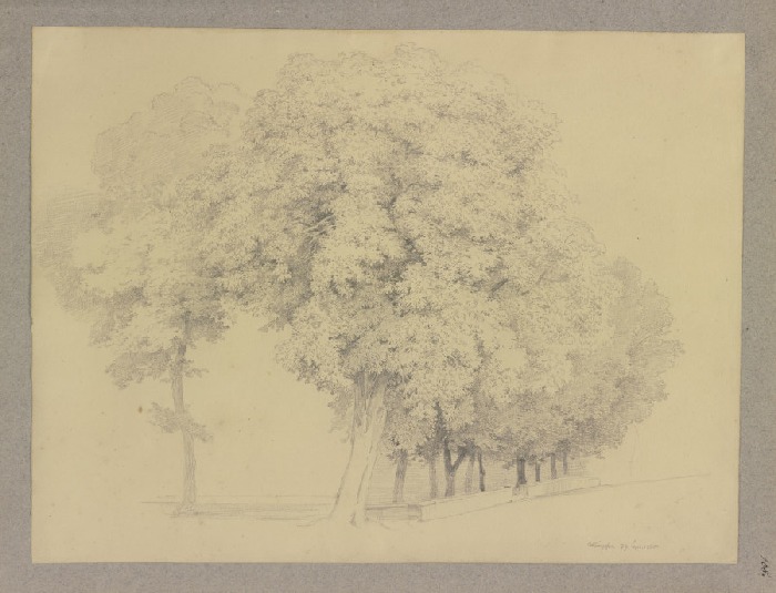 Baumgruppe an einem Mäuerchen from Carl Theodor Reiffenstein