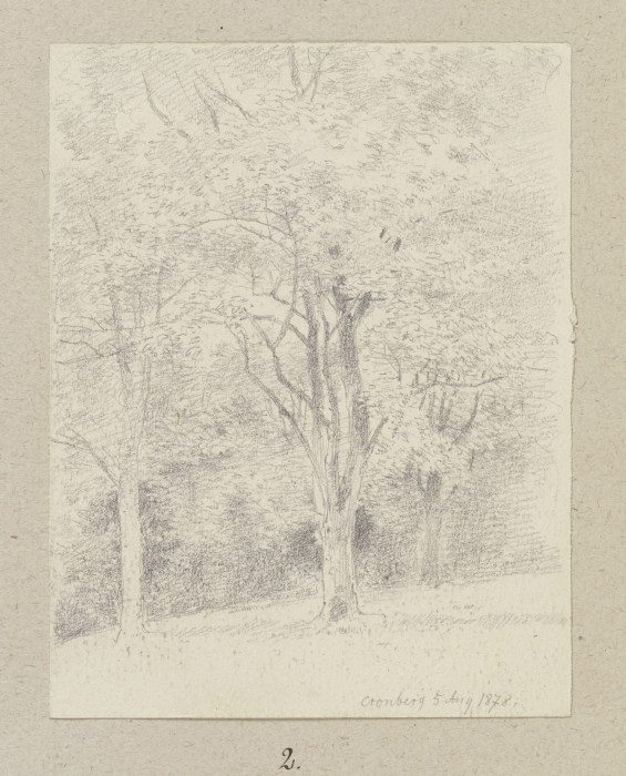Group of trees near Kronberg from Carl Theodor Reiffenstein