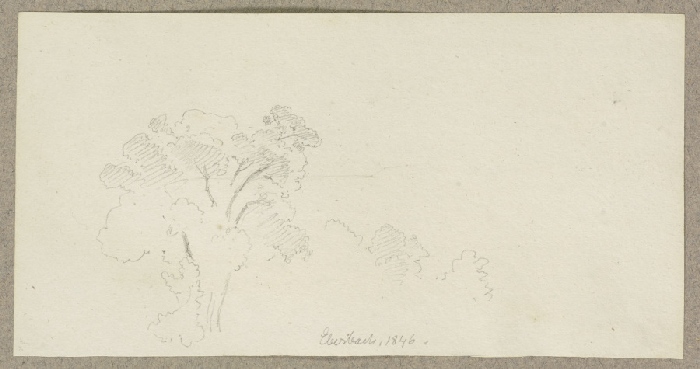 Tree tops near Eberbach from Carl Theodor Reiffenstein