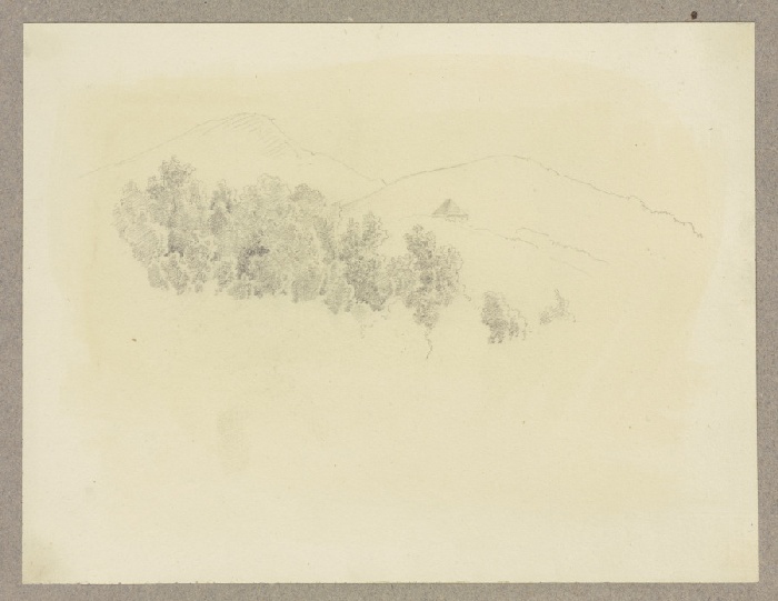 Baumkronen, im Hintergrund angedeutet bewaldete Berge und eine Hütte from Carl Theodor Reiffenstein