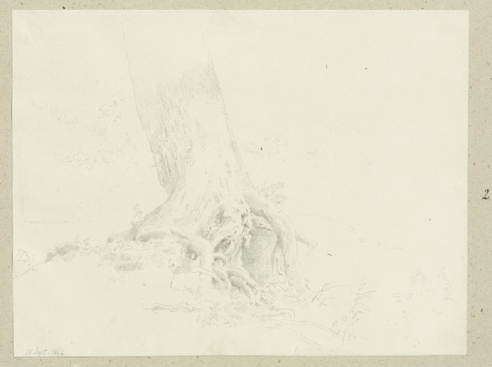 Freiliegendes Wurzelwerk eines Baumes from Carl Theodor Reiffenstein