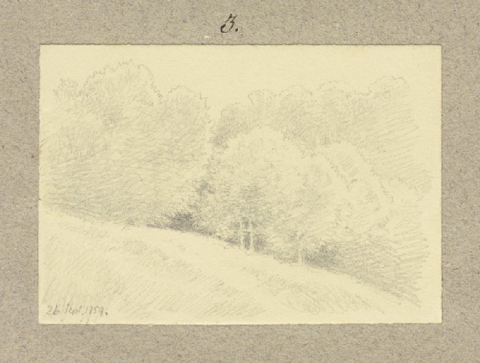 Forest slope from Carl Theodor Reiffenstein