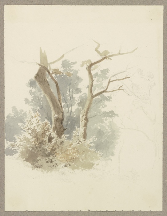 Waldpartie, im Vordergrund ein Baumpaar from Carl Theodor Reiffenstein