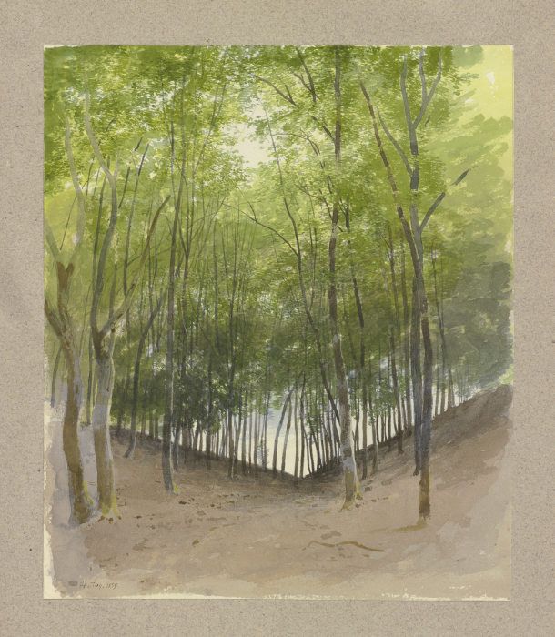 Waldpartie in einer Talsohle from Carl Theodor Reiffenstein