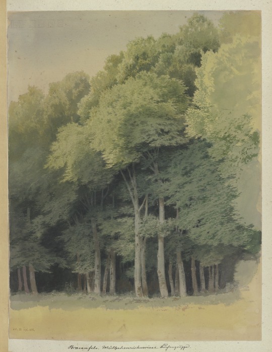 Forest edge near Braunfels from Carl Theodor Reiffenstein