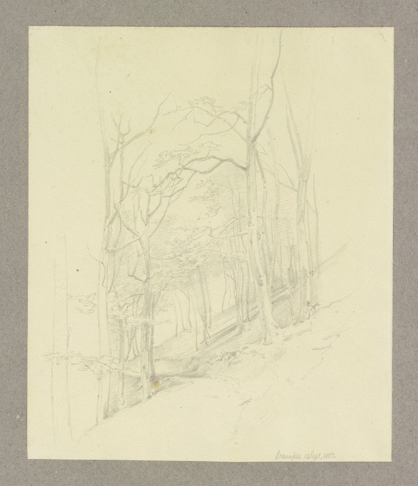 Waldstück an einem Hang bei Braunfels from Carl Theodor Reiffenstein