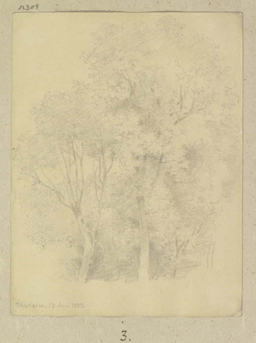 Piece of a forest near Wiesbaden from Carl Theodor Reiffenstein