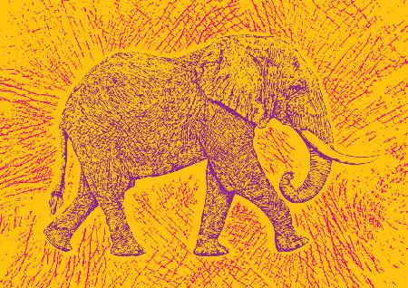 Africa Elephant texture pattern