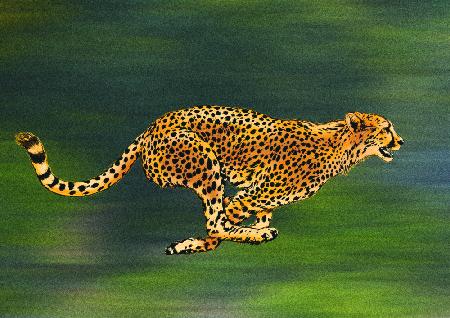 Cheetah Full Sprint