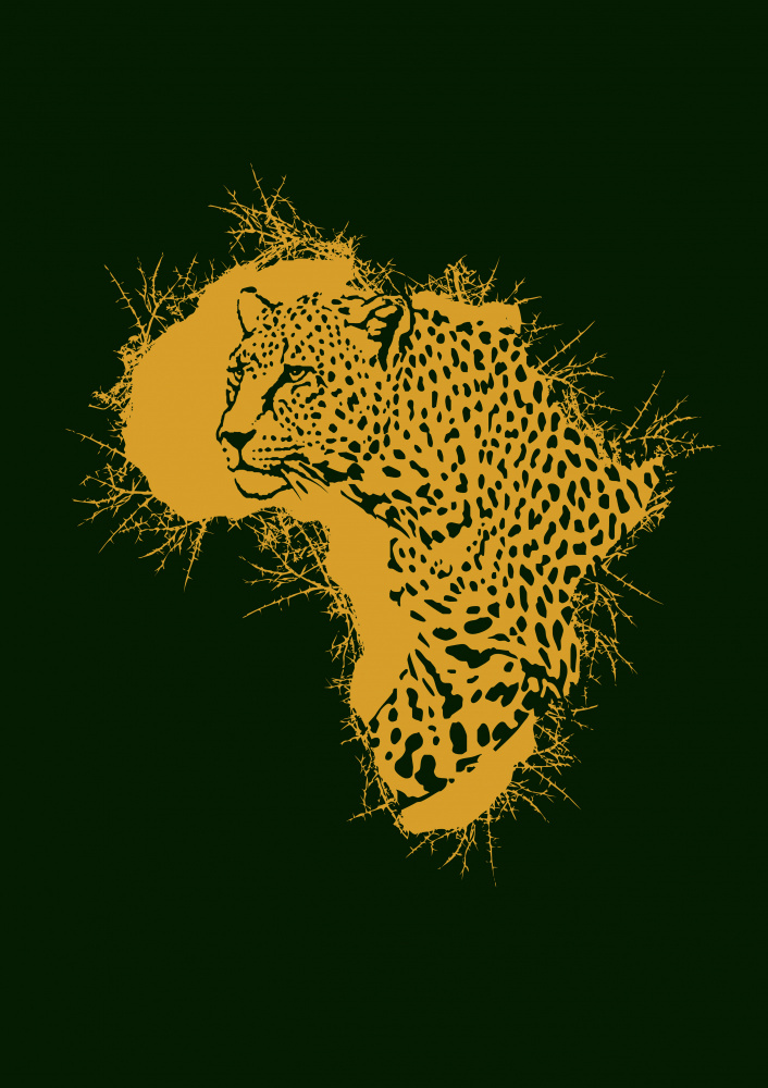 Leopard Thorny Africa from Carlo Kaminski