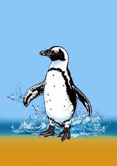Cute Penguin splashing