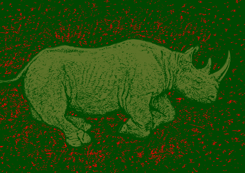 Black Rhino Endangered from Carlo Kaminski
