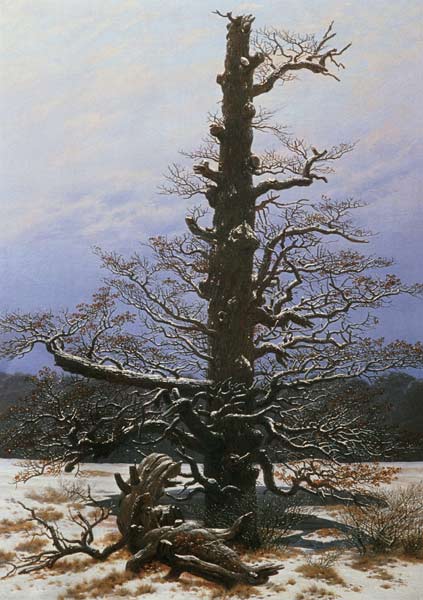 Oak Tree in the Snow from Caspar David Friedrich