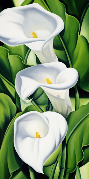Lilies from Catherine  Abel