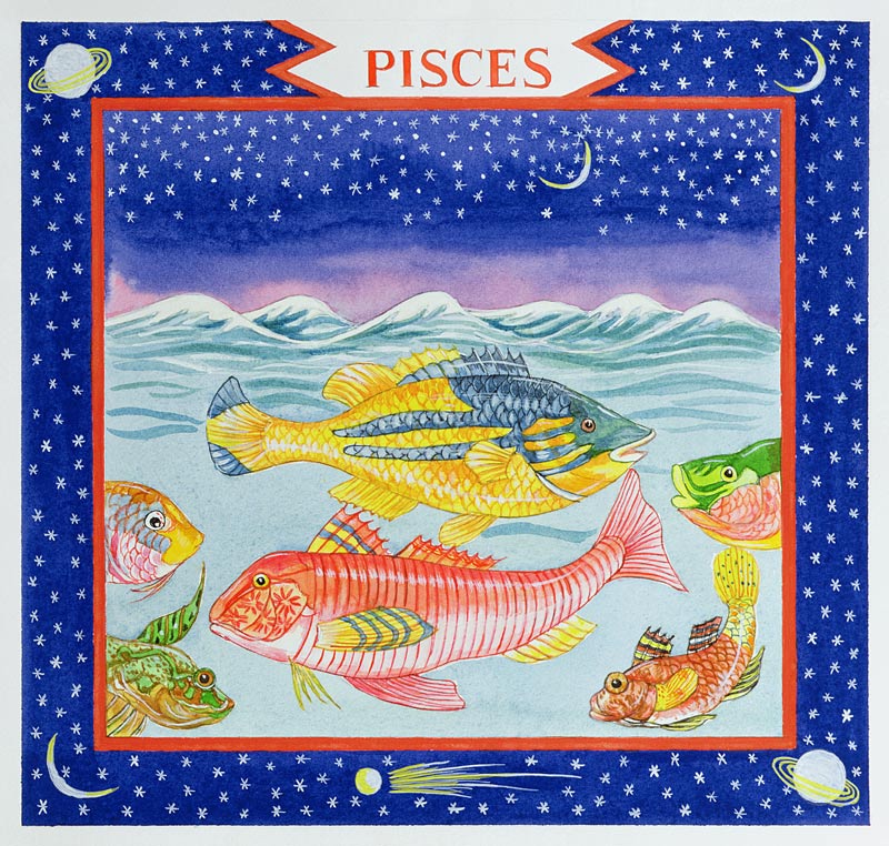 Pisces (w/c on paper)  from Catherine  Bradbury