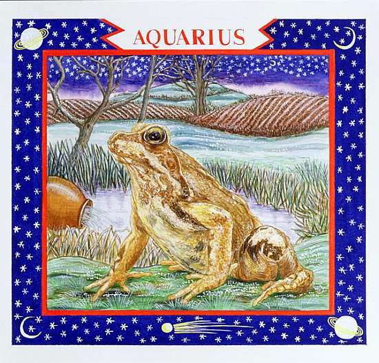Aquarius (w/c on paper)  from Catherine  Bradbury