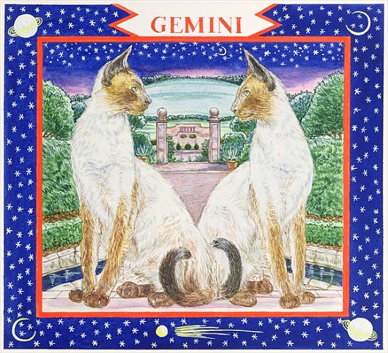 Gemini (w/c on paper)  from Catherine  Bradbury