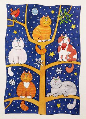 Five Christmas Cats 