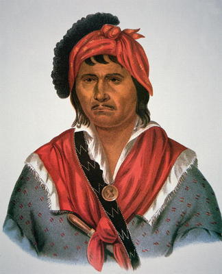 Neamathla Chief, 1826 (colour litho) from Charles Bird King