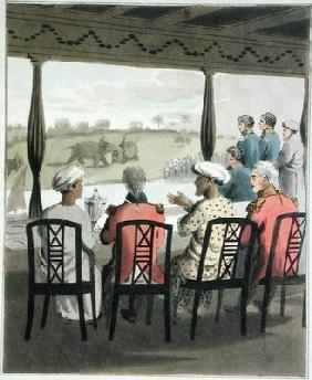 Marquis Wellesley and his Suite, at the Nabob of Oude's Breakfast Table, viewing an elephant fight,