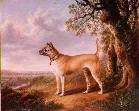 A Terrier on a path in a wooded landscape from Charles Towne