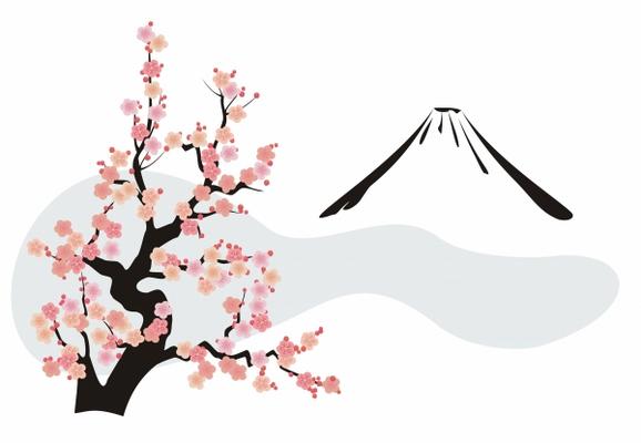 Cherry blossom in front of Mount Fuji from Charlotte Erpenbeck