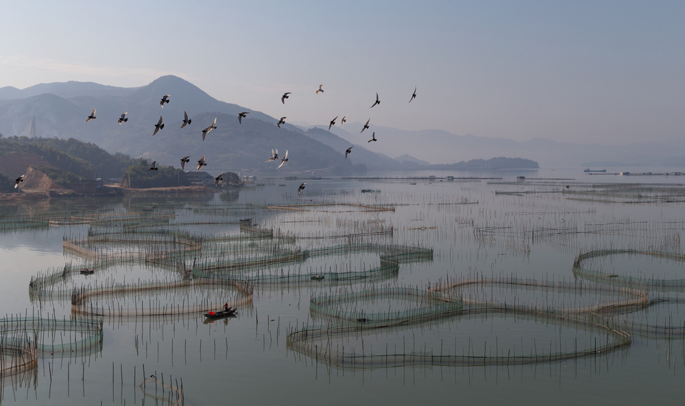 An aquaculture farm at Fuding from Cheng Chang